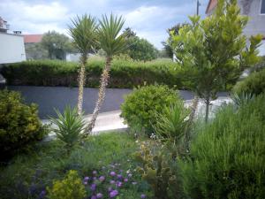 Apartments Dora Bibinje, 30 m from the sea