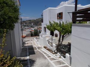 Sofirene Sea Scape Andros Greece