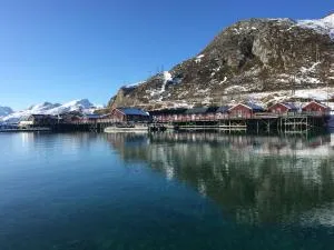 Lofoten Havfiske - Napp