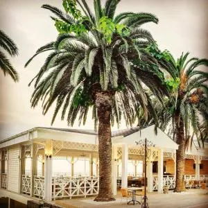 Hotel Cheluskintsev - Gagra