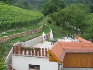 Appartements Studio chez le vigneron : photos des chambres