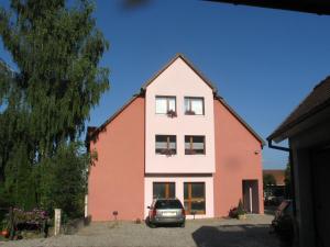 Appartements Studio chez le vigneron : Appartement 1 Chambre