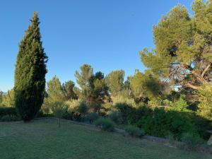 B&B / Chambres d'hotes le Mas des Pignes -adults only : photos des chambres