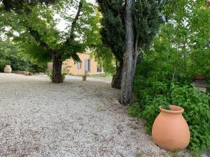 B&B / Chambres d'hotes le Mas des Pignes -adults only : photos des chambres