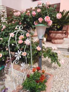 The Roses Garden img40