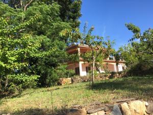 Pinetrees, Apartments - Cardedu