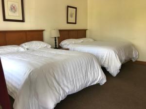 Hopewell Rocks Motel & Country Inn