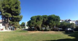 Maistrali Studios Skiathos Greece