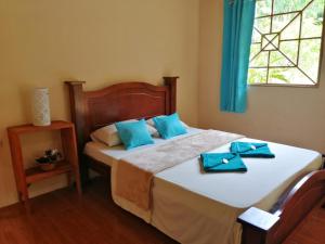 Garden of Heliconias Lodge