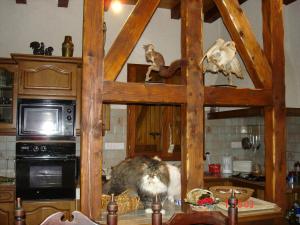 Chalets gite Vallee des Nestes : photos des chambres