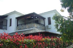 BLUE DREAM Koropi Pelion Milies South Pelion