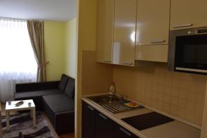 Apartment Vikroria - Hálkova 5