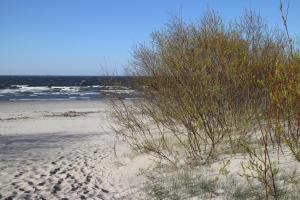 Willa Mazowiecka Jantar