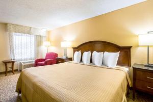 King Room - Non-Smoking/Pet Friendly room in Rodeway Inn Metro Airport