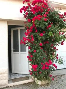 joli studio au coeur de Verdun - Manheulles