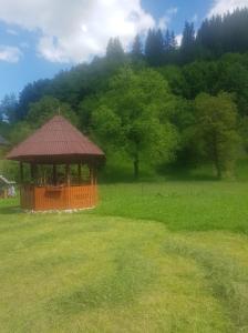 Cabana plaiului