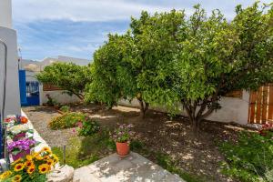 Casa Maritina Traditional Family House Rhodes Greece