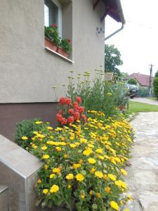 Virágos Apartman Balatonszemes