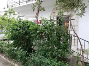 APARTMANI NOVA - Franičevići