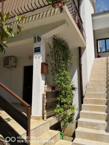 Apartmans Luce e Stella 