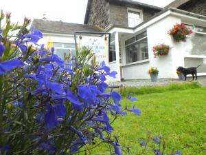 Bluebird Lodge In Coniston Room Deals Photos Reviews