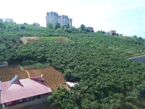 North Pearl Residence