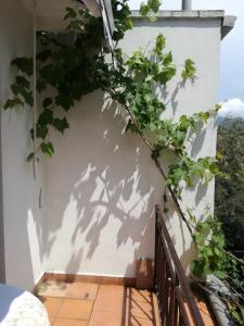 Double Room with Balcony room in Guest House Vila Bak