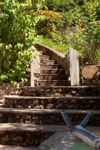 Maisons de vacances Gite de l'oppidum : photos des chambres