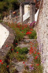 Maisons de vacances Gite de l'oppidum : photos des chambres