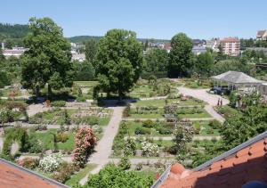 Appartements Le Jardin des Roses : Appartement