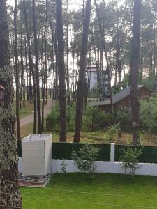 Shekvetili Big Wonder