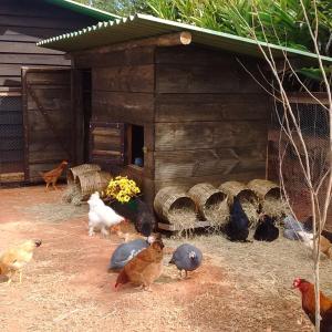 Pousada Celeiro do Gutto