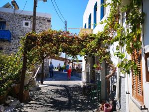 Haralambos Apartments Kos Greece