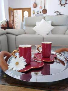 The Roses Garden img19