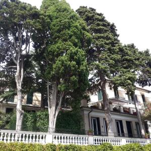 Elegant and Sea View Excelsior Apartment