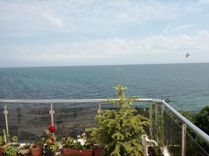 Guest House Neli