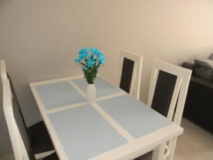 Apartament z Basenem Laura Polanki Park