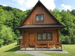 Ośrodek Niezapominajka - Górzanka