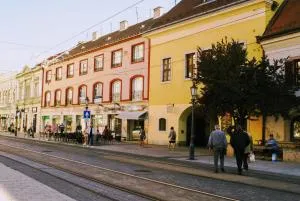 Parva Villa - 米什科尔茨