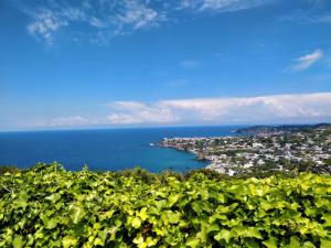 Appartement Villa Andrea Ischia Italien