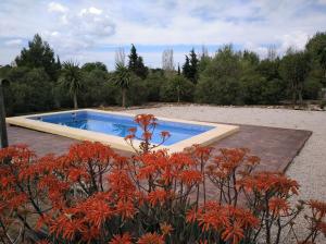 Alojamiento Rural - Finca Santa Margarita