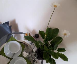 B&B / Chambres d'hotes O Anges : photos des chambres