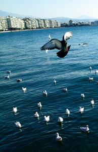 Sunset in Thermaikos - Ubytování bez kategorie ve městě Perea