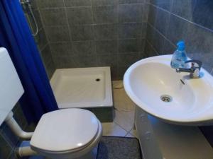 Studio with Balcony room in Apartments with a parking space Vir - Lozice Vir - 16929