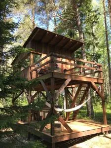 Tahkuna tree-house - Kõrgessaare
