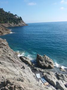 Casa Cinzia Bonassola Cinque Terre