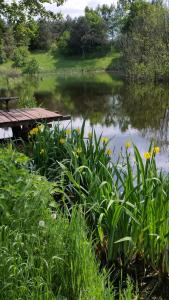 Agroturystyka Szafarnia 19