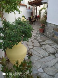 Pension Nikolas Skiathos Greece