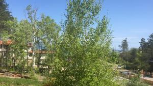 Sozopol Santa Marina Private 1bedroom apartment