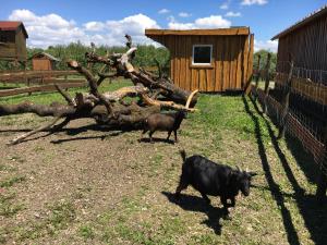 Ferienhof Waggershauser